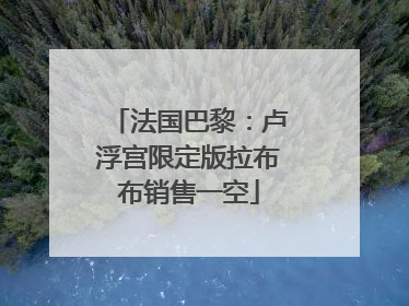 法国巴黎：卢浮宫限定版拉布布销售一空