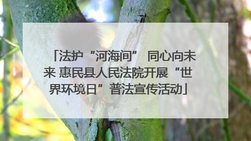 法护“河海间” 同心向未来 惠民县人民法院开展“世界环境日”普法宣传活动