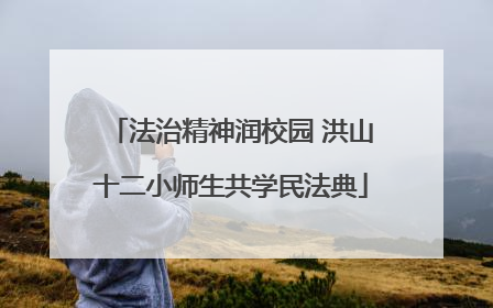 法治精神润校园 洪山十二小师生共学民法典