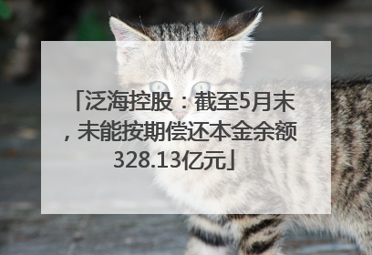 泛海控股：截至5月末，未能按期偿还本金余额328.13亿元