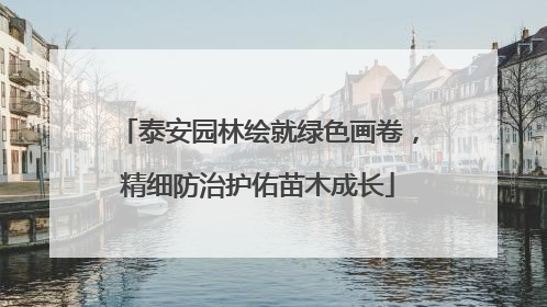 泰安园林绘就绿色画卷，精细防治护佑苗木成长