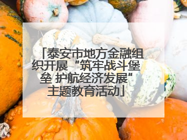 泰安市地方金融组织开展“筑牢战斗堡垒 护航经济发展”主题教育活动