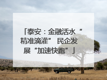 泰安：金融活水“精准滴灌” 民企发展“加速快跑”