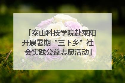 泰山科技学院赴莱阳开展暑期“三下乡”社会实践公益志愿活动