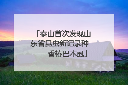 泰山首次发现山东省昆虫新记录种——香椿巴木虱