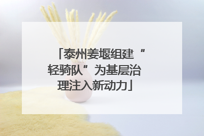 泰州姜堰组建“轻骑队”为基层治理注入新动力