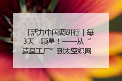 活力中国调研行｜每3天一颗星！——从“造星工厂”到太空织网的“银河速度”