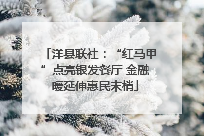 洋县联社：“红马甲”点亮银发餐厅 金融暖延伸惠民末梢