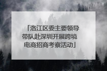洛江区委主要领导带队赴深圳开展跨境电商招商考察活动