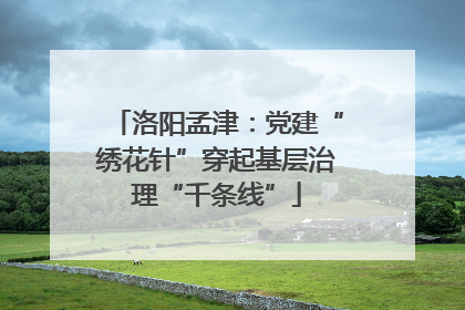 洛阳孟津：党建“绣花针”穿起基层治理“千条线”