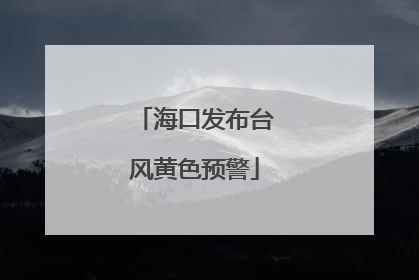 海口发布台风黄色预警