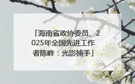 海南省政协委员、2025年全国先进工作者陈峰：光影捕手