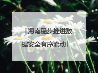 海南稳步推进数据安全有序流动