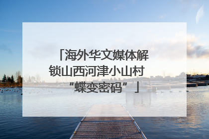 海外华文媒体解锁山西河津小山村“蝶变密码”