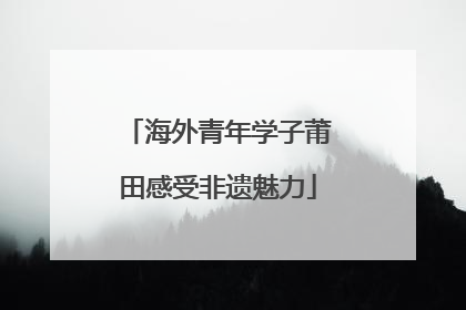 海外青年学子莆田感受非遗魅力