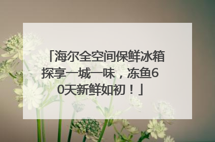 海尔全空间保鲜冰箱探享一城一味，冻鱼60天新鲜如初！