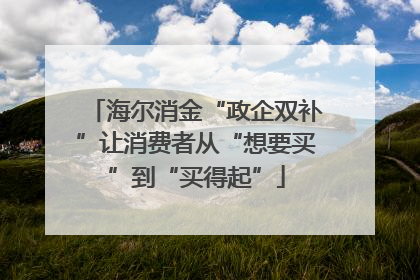 海尔消金“政企双补”让消费者从“想要买”到“买得起”