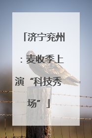 济宁兖州：麦收季上演“科技秀场”