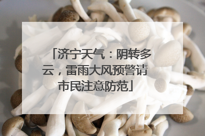 济宁天气：阴转多云，雷雨大风预警请市民注意防范
