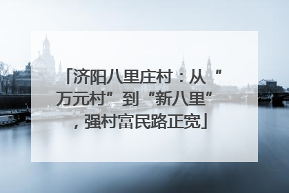 济阳八里庄村：从“万元村”到“新八里”，强村富民路正宽