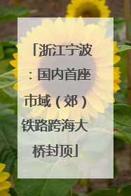 浙江宁波：国内首座市域（郊）铁路跨海大桥封顶