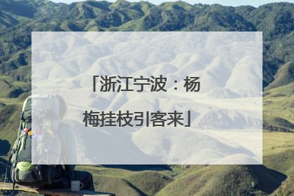 浙江宁波：杨梅挂枝引客来