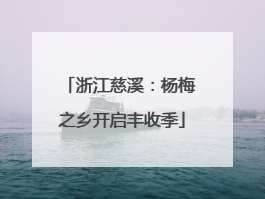 浙江慈溪：杨梅之乡开启丰收季