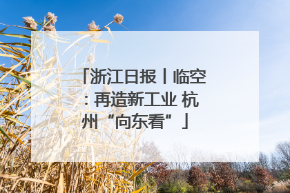 浙江日报丨临空：再造新工业 杭州“向东看”