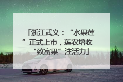 浙江武义：“水果莲”正式上市，莲农增收“致富果”注活力