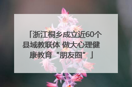 浙江桐乡成立近60个县域教联体 做大心理健康教育“朋友圈”