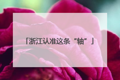 浙江认准这条“轴”