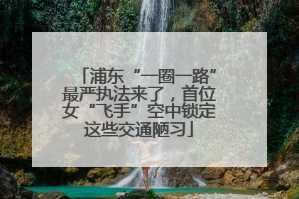 浦东“一圈一路”最严执法来了，首位女“飞手”空中锁定这些交通陋习