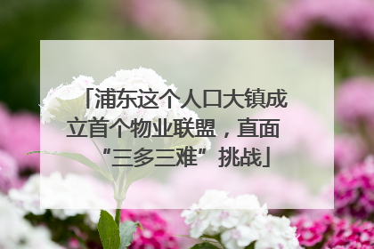 浦东这个人口大镇成立首个物业联盟，直面“三多三难”挑战