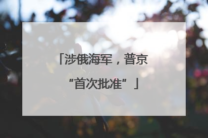 涉俄海军，普京“首次批准”
