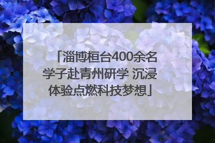 淄博桓台400余名学子赴青州研学 沉浸体验点燃科技梦想