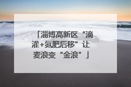 淄博高新区“滴灌+氮肥后移”让麦浪变“金浪”