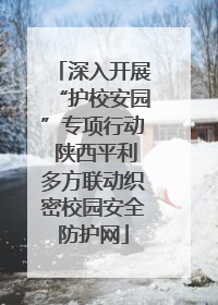 深入开展“护校安园”专项行动 陕西平利多方联动织密校园安全防护网