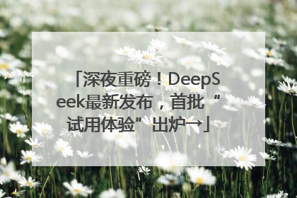 深夜重磅！DeepSeek最新发布，首批“试用体验”出炉→