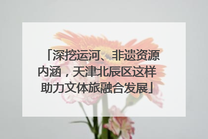 深挖运河、非遗资源内涵，天津北辰区这样助力文体旅融合发展