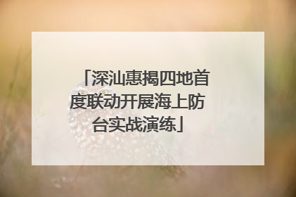 深汕惠揭四地首度联动开展海上防台实战演练