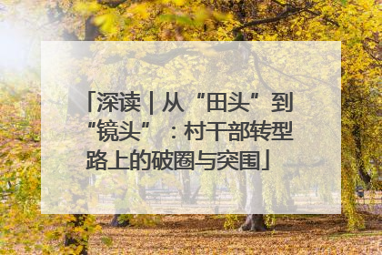 深读｜从“田头”到“镜头”：村干部转型路上的破圈与突围
