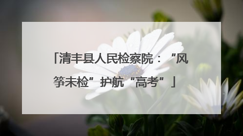 清丰县人民检察院：“风筝未检”护航“高考”