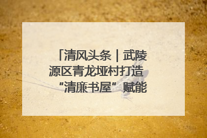 清风头条｜武陵源区青龙垭村打造“清廉书屋”赋能乡村振兴新风尚