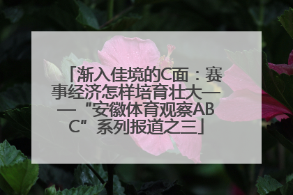 渐入佳境的C面：赛事经济怎样培育壮大——“安徽体育观察ABC”系列报道之三