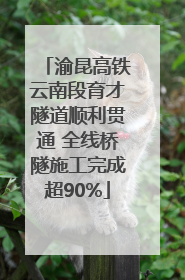 渝昆高铁云南段育才隧道顺利贯通 全线桥隧施工完成超90%