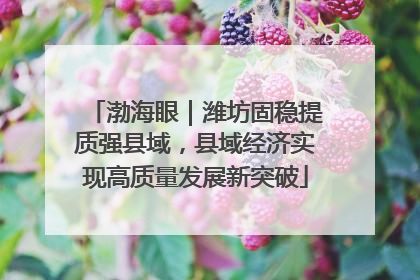 渤海眼｜潍坊固稳提质强县域，县域经济实现高质量发展新突破