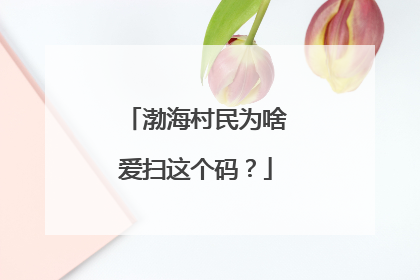 渤海村民为啥爱扫这个码？