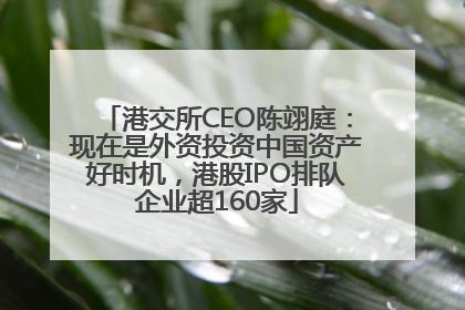 港交所CEO陈翊庭：现在是外资投资中国资产好时机，港股IPO排队企业超160家