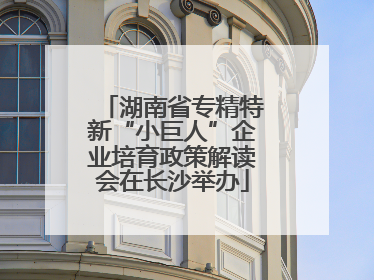 湖南省专精特新“小巨人”企业培育政策解读会在长沙举办