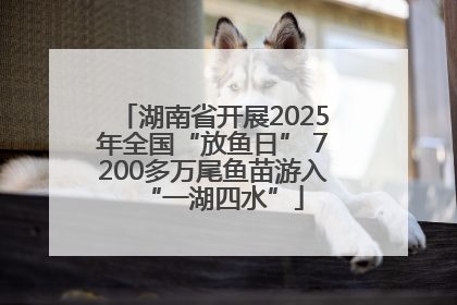 湖南省开展2025年全国“放鱼日” 7200多万尾鱼苗游入“一湖四水”